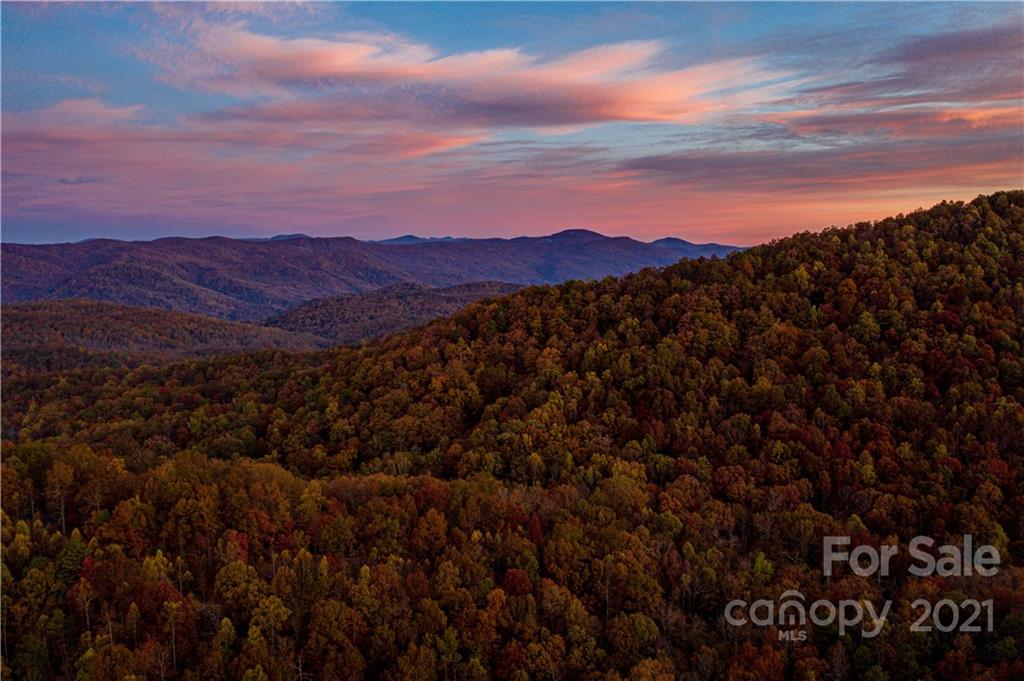 South Carolina Land and Homes