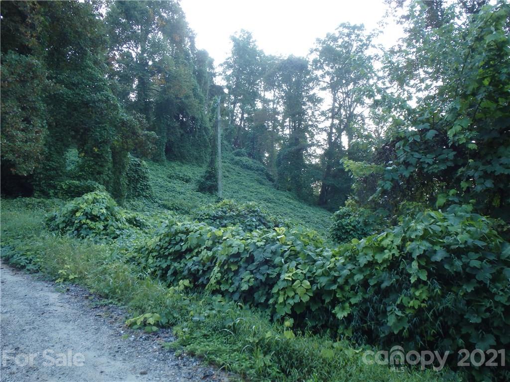 Bat Cave NC Real Estate Homes for Sale in Bat Cave