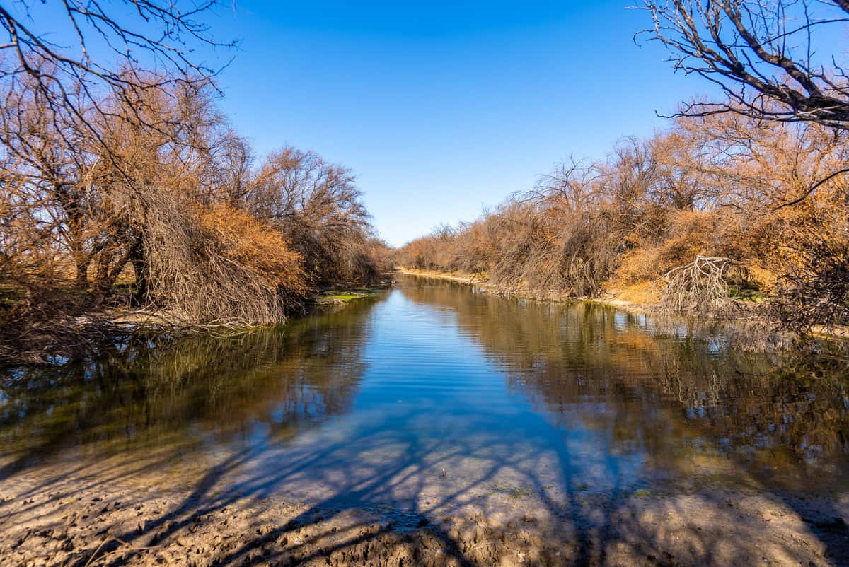 West TX Real Estate