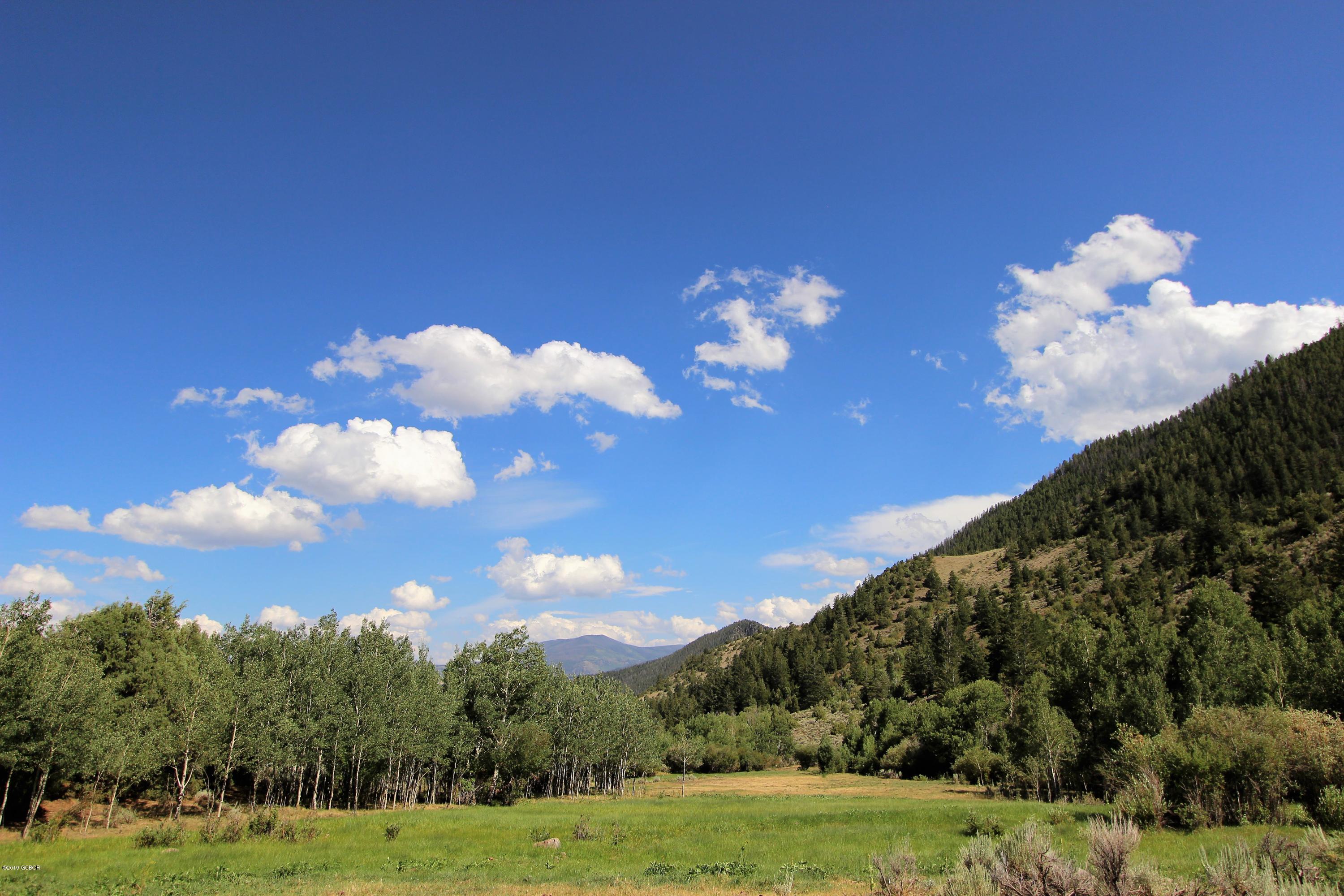Listings for Amy Jardee