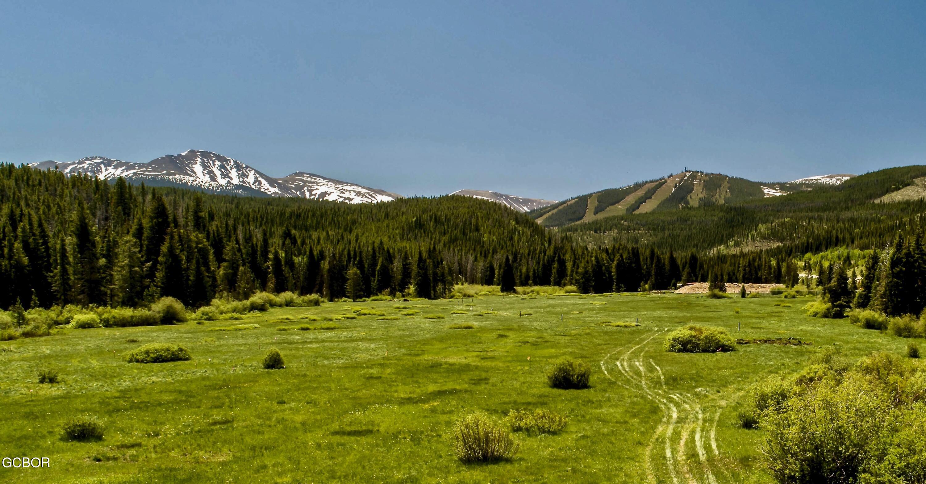 Homes for Sale Winter Park CO Real Estate of Winter Park