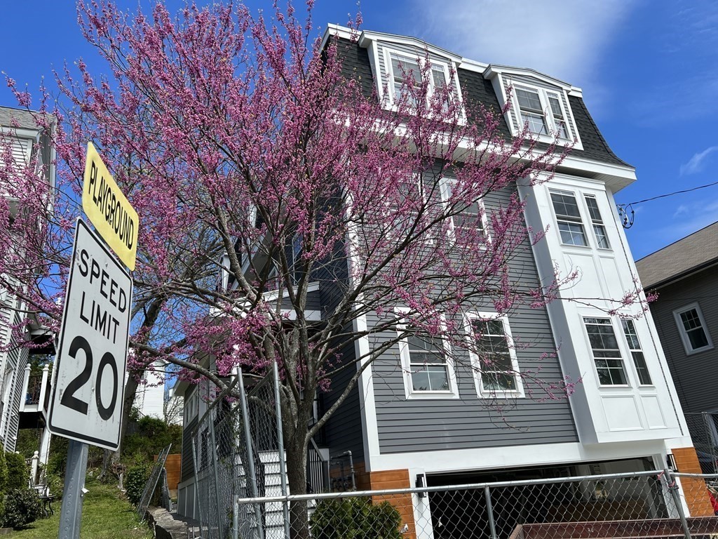 Brighton MA Real Estate Hammond Residential Real Estate