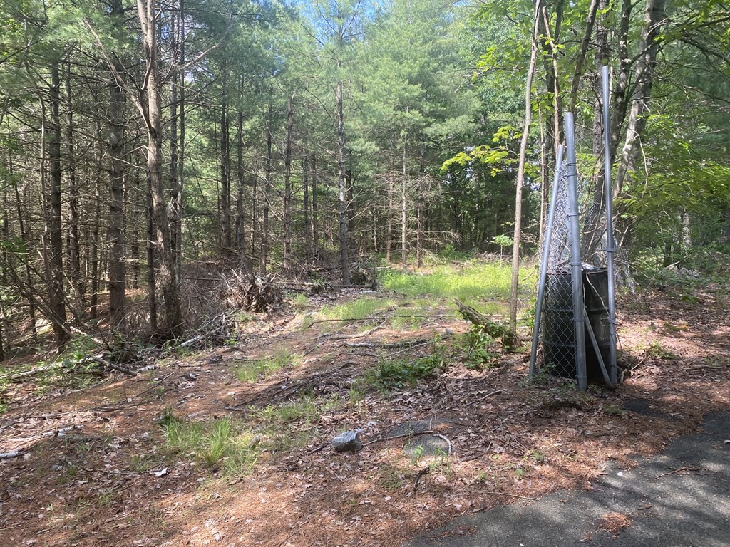 Houses For Sale Acton MA Homes For Sale Acton MA Hammond RRE