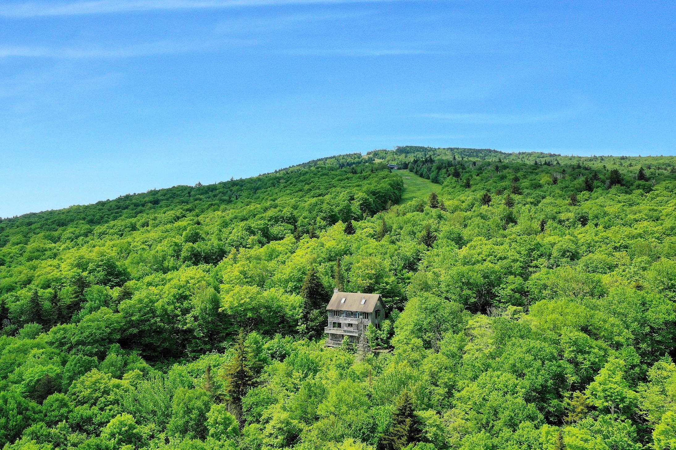 Luxury Homes - Ludlow