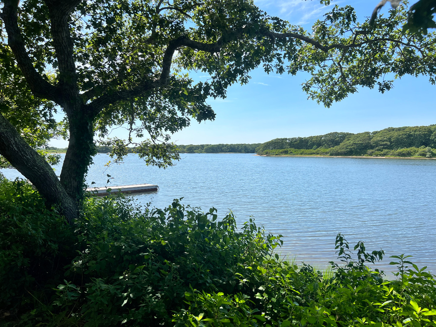 Waterview Properties For Sale Edgartown MA Ocean Park Realty