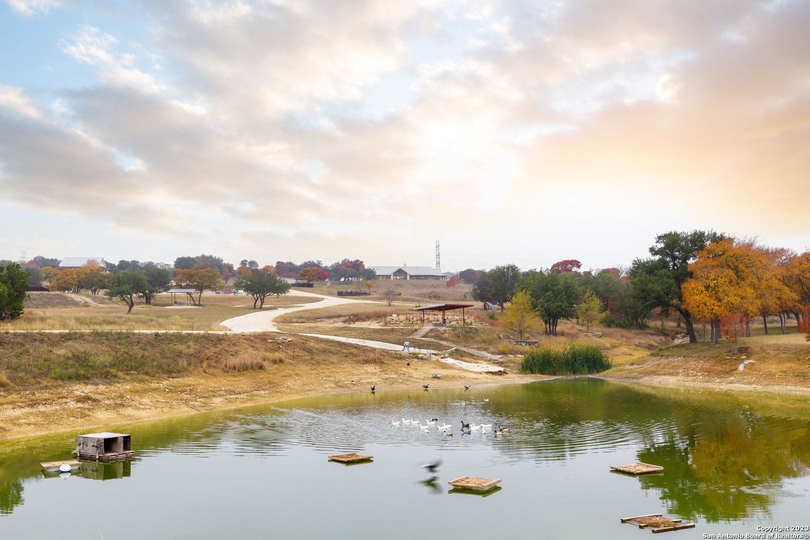 Texas Land & Ranches For Sale | Phyllis Browning Company