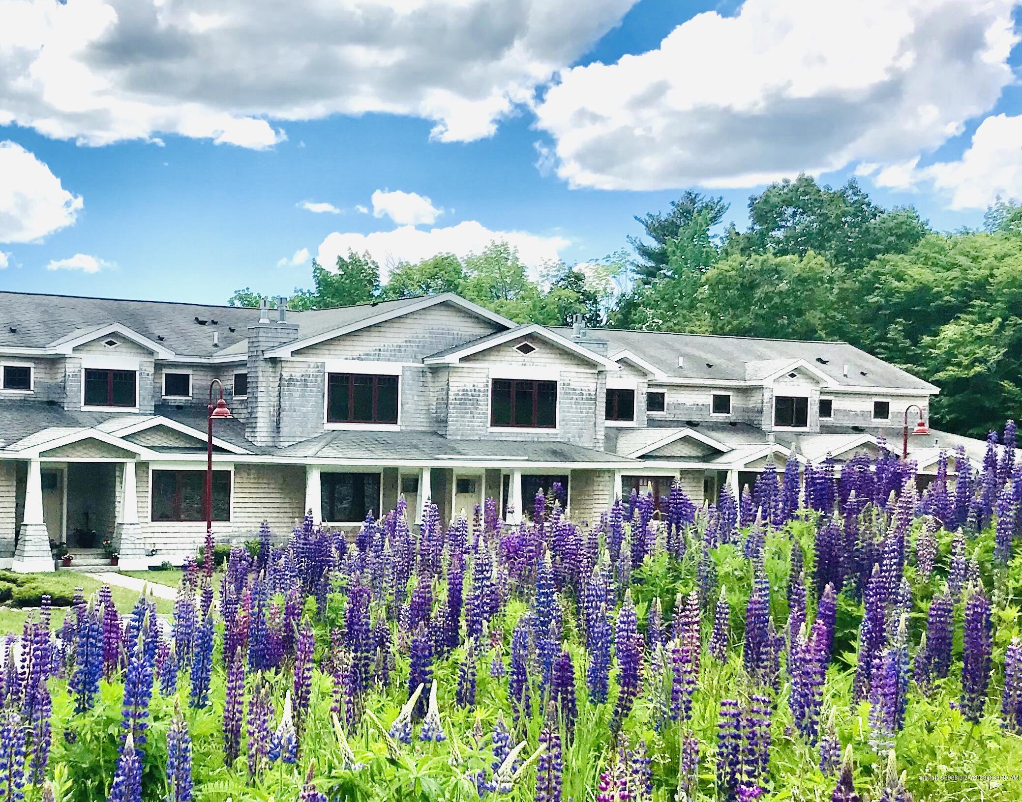 Condos for Sale in Blue Hill ME