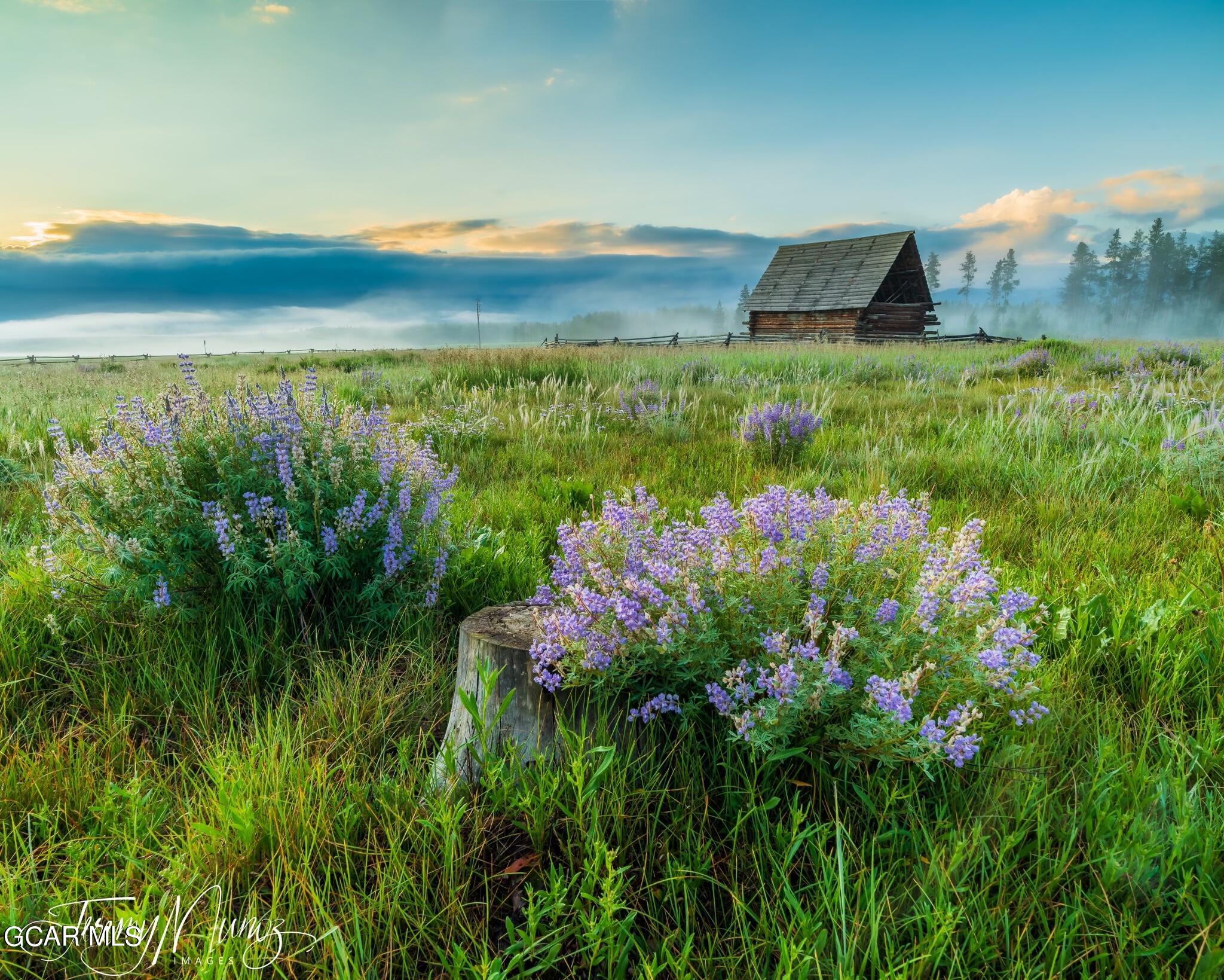 new-listings-fraser-co-real-estate-real-estate-of-winter-park