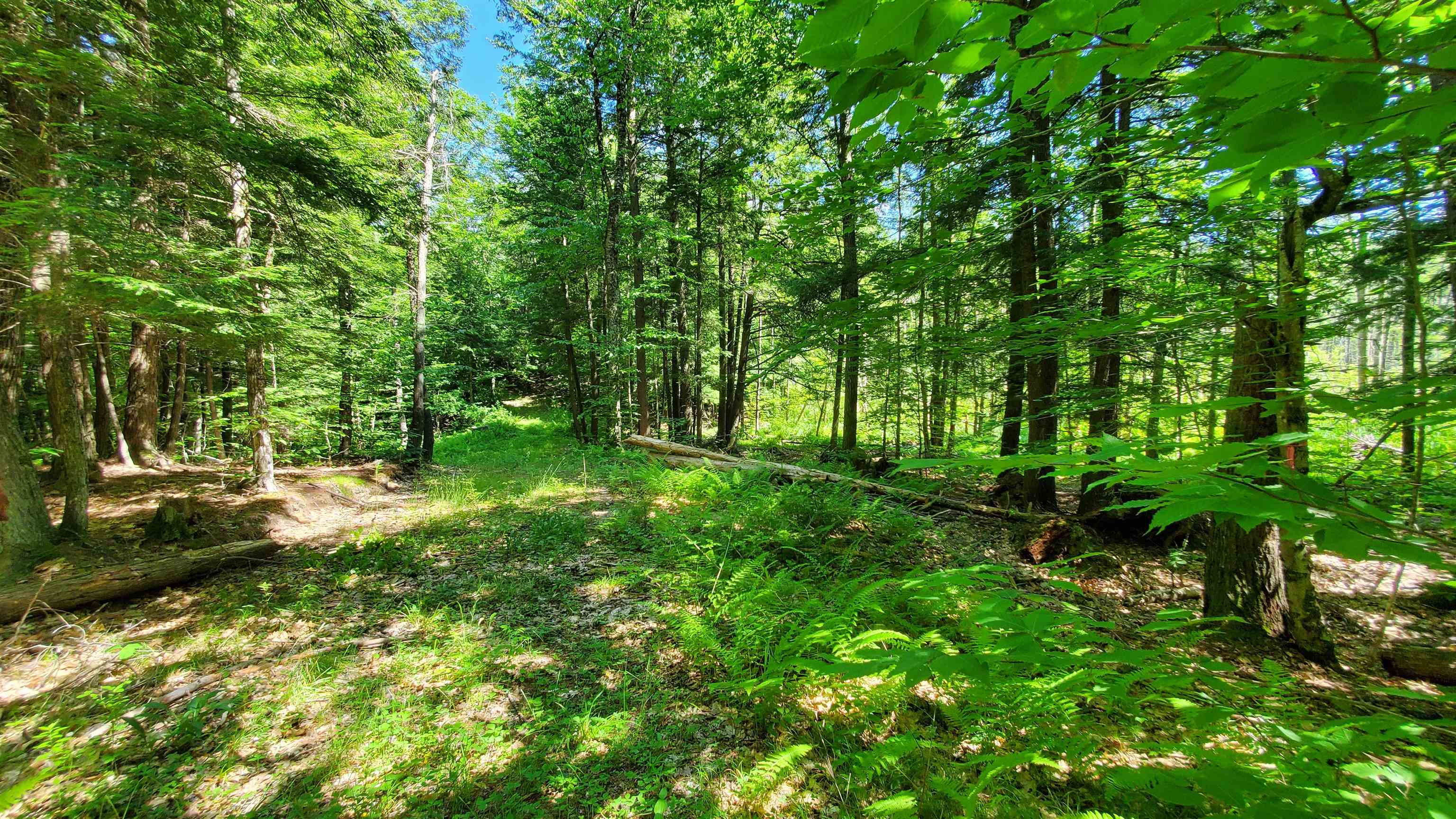 Land for Sale in Thetford VT