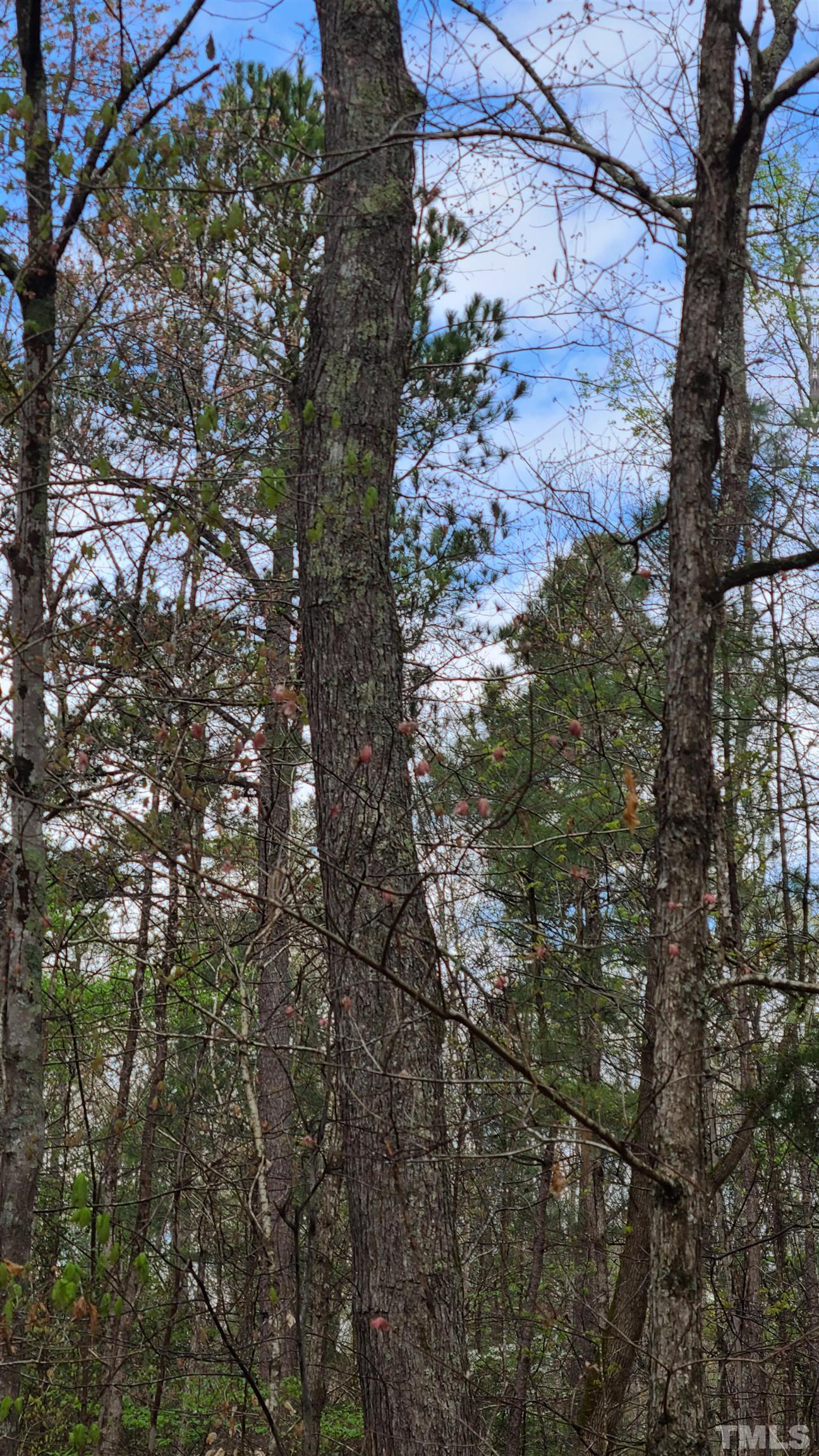 Land for Sale in Holly Springs NC