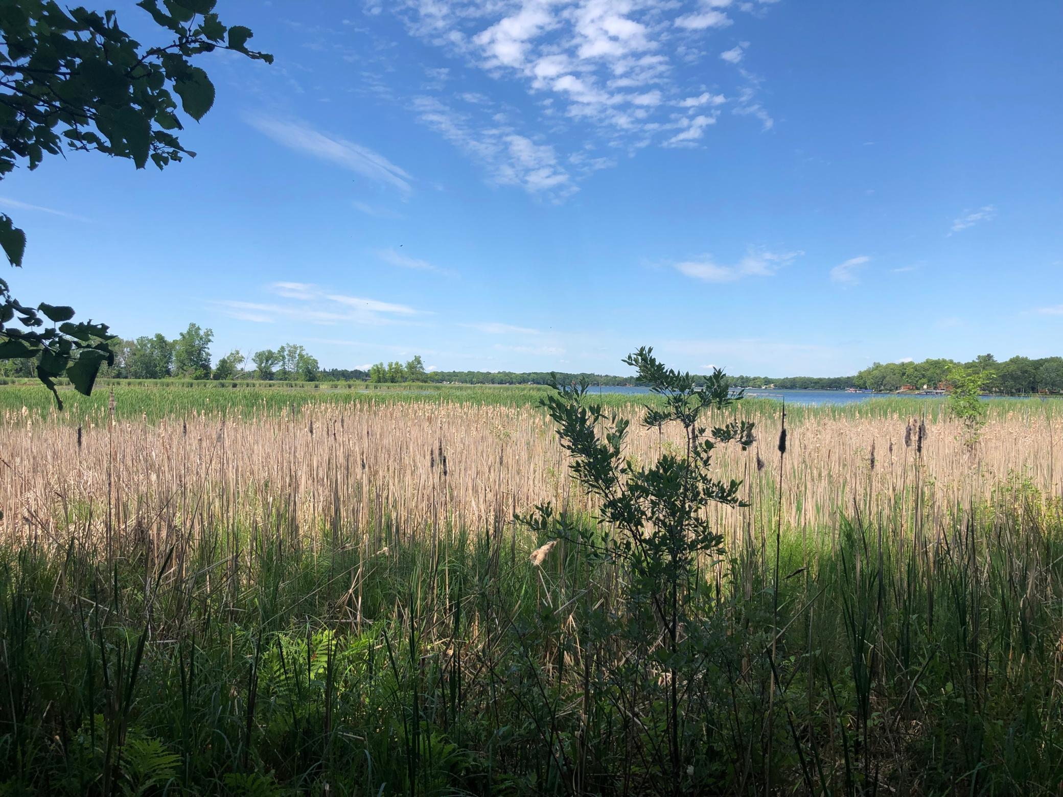 Land for Sale in Onamia MN