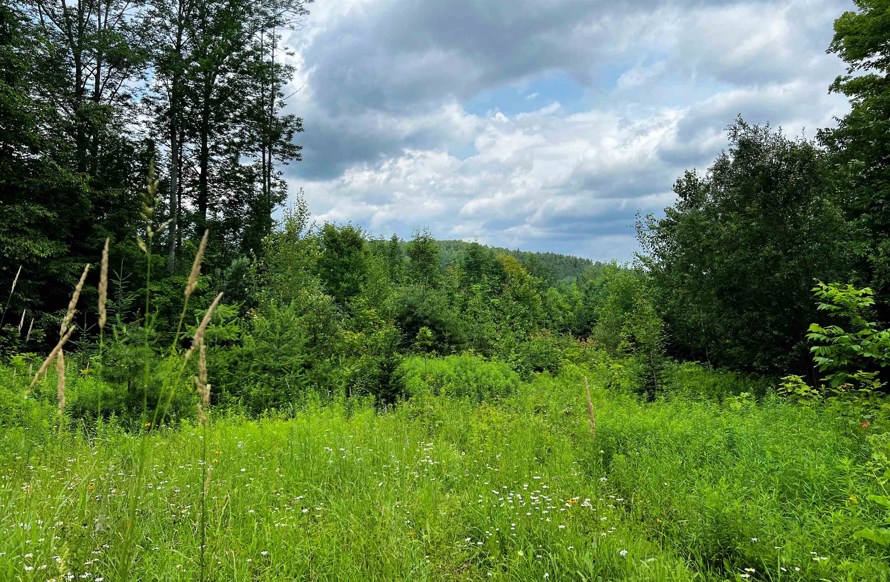 Land for Sale in Corinth VT