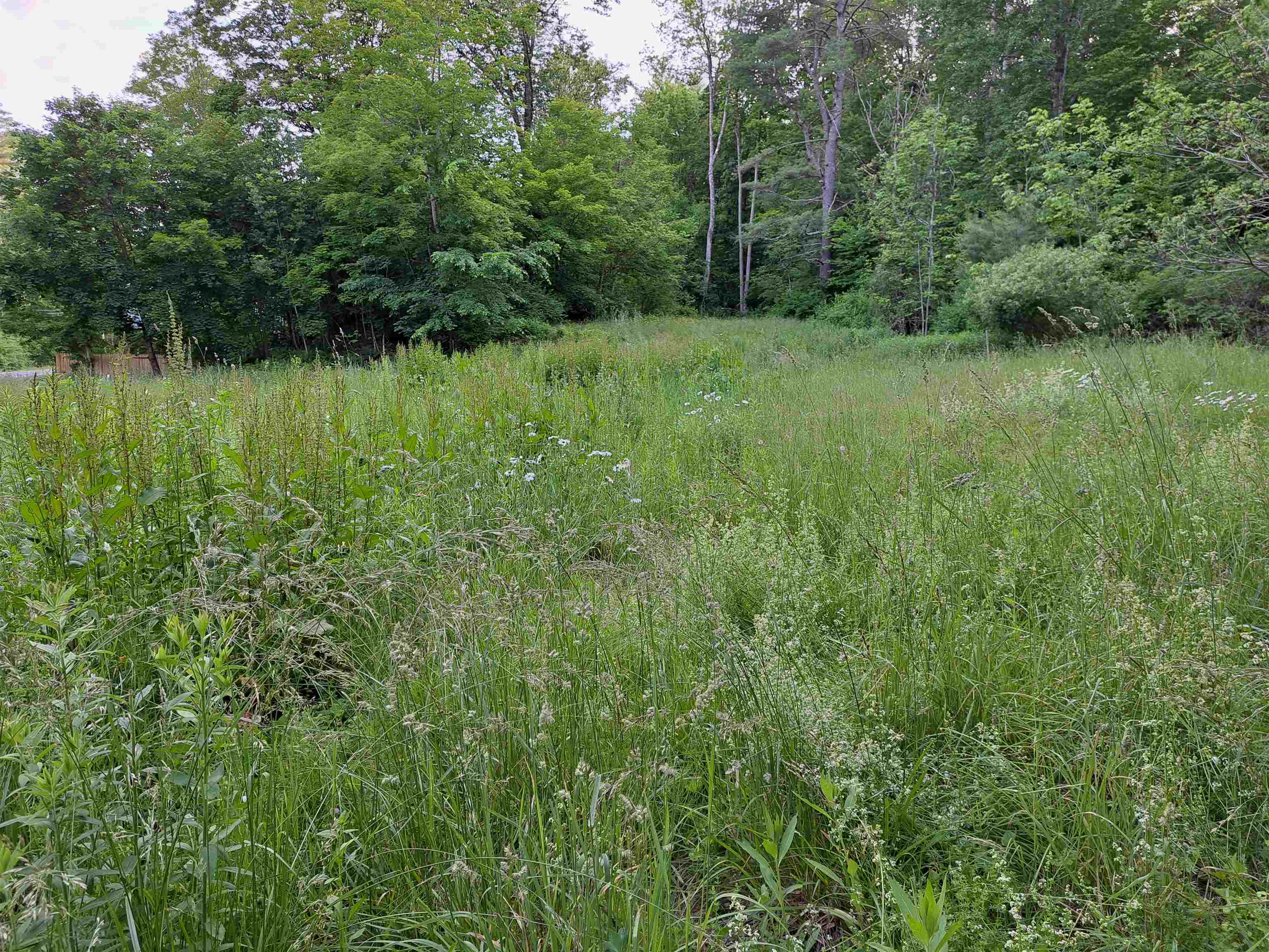 Land for Sale in Cornish NH