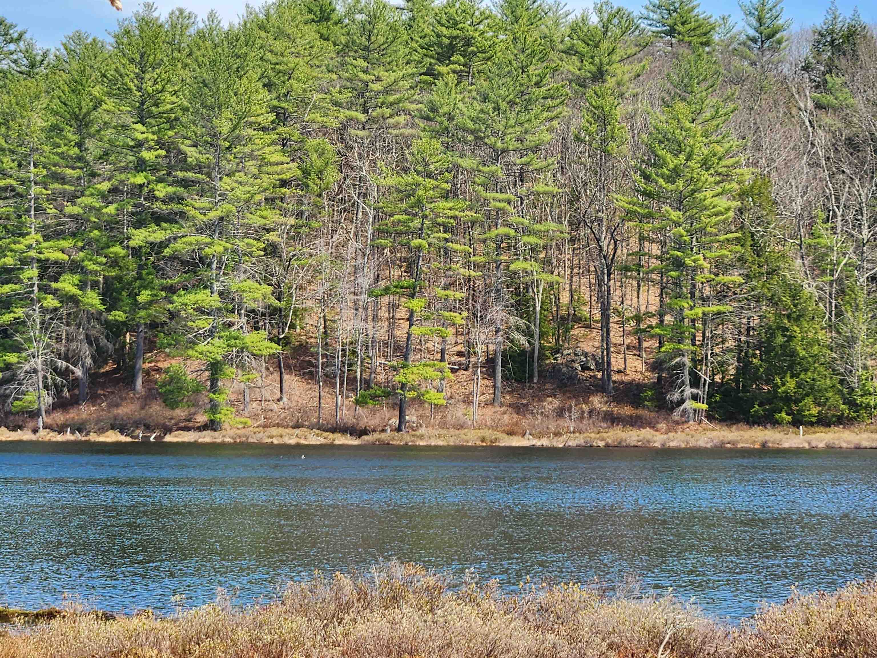 Concord NH Region Real Estate for Sale BHGRE The Masiello Group