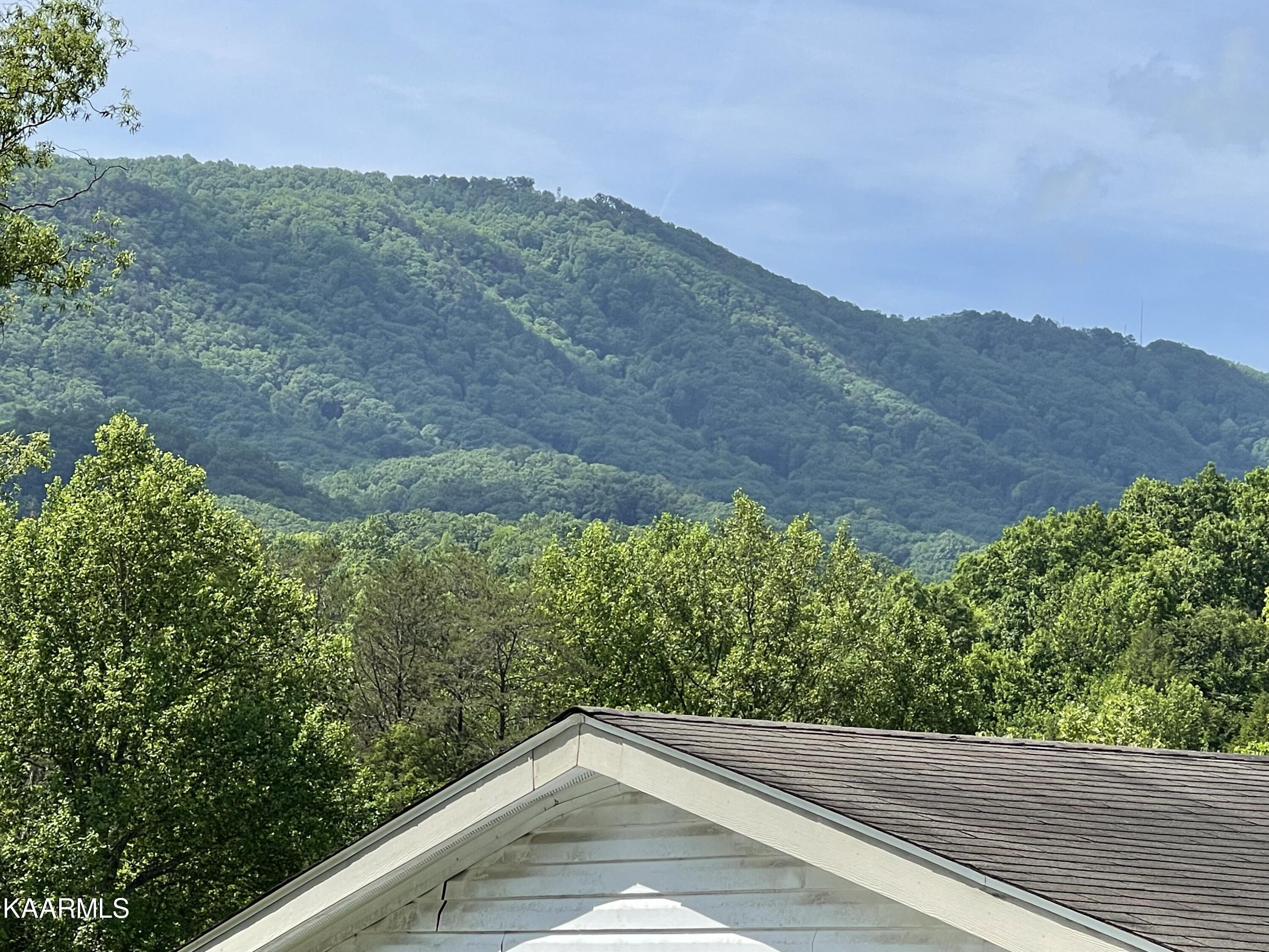 Land for Sale in Seymour TN