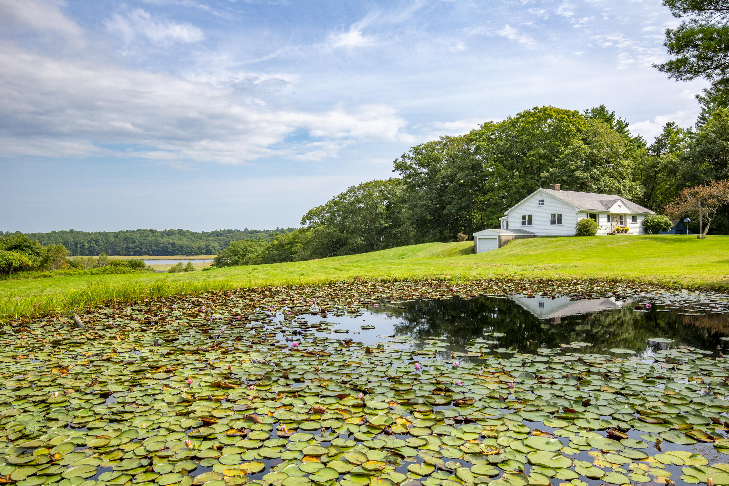 Listings for The Rosendo Group