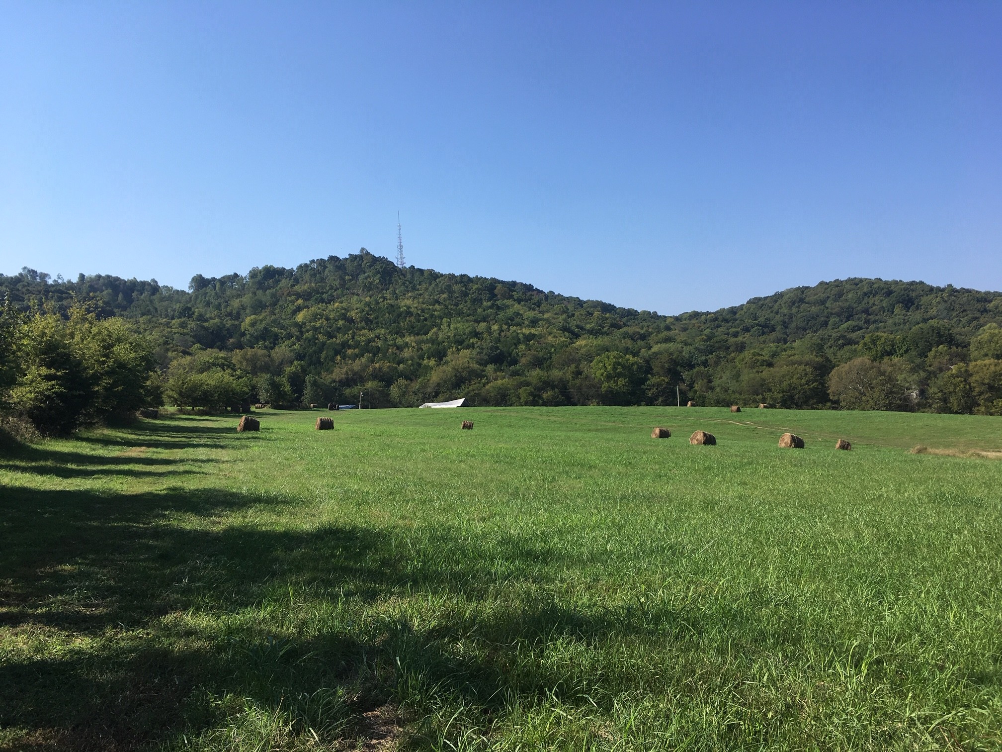 Land