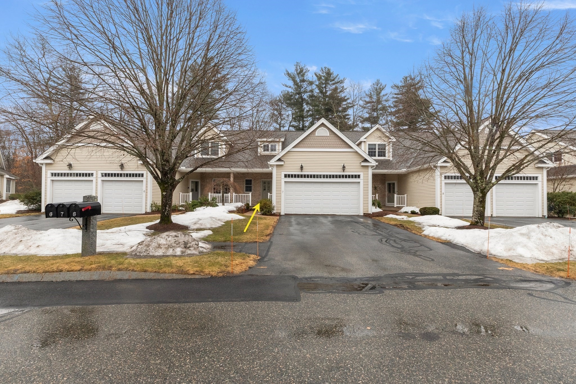 Listings for Elizabeth Wilczak