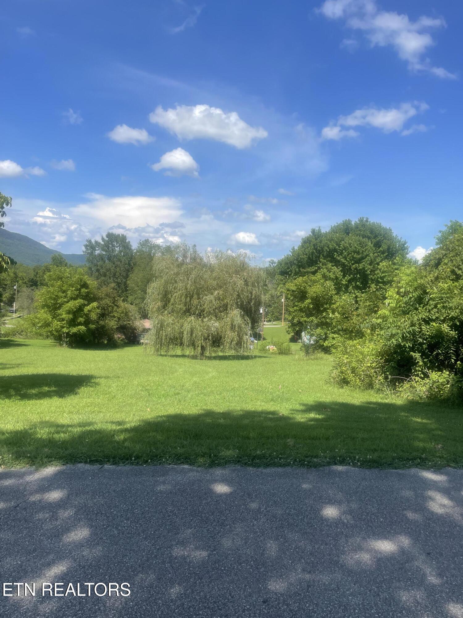 Powell Valley Shores