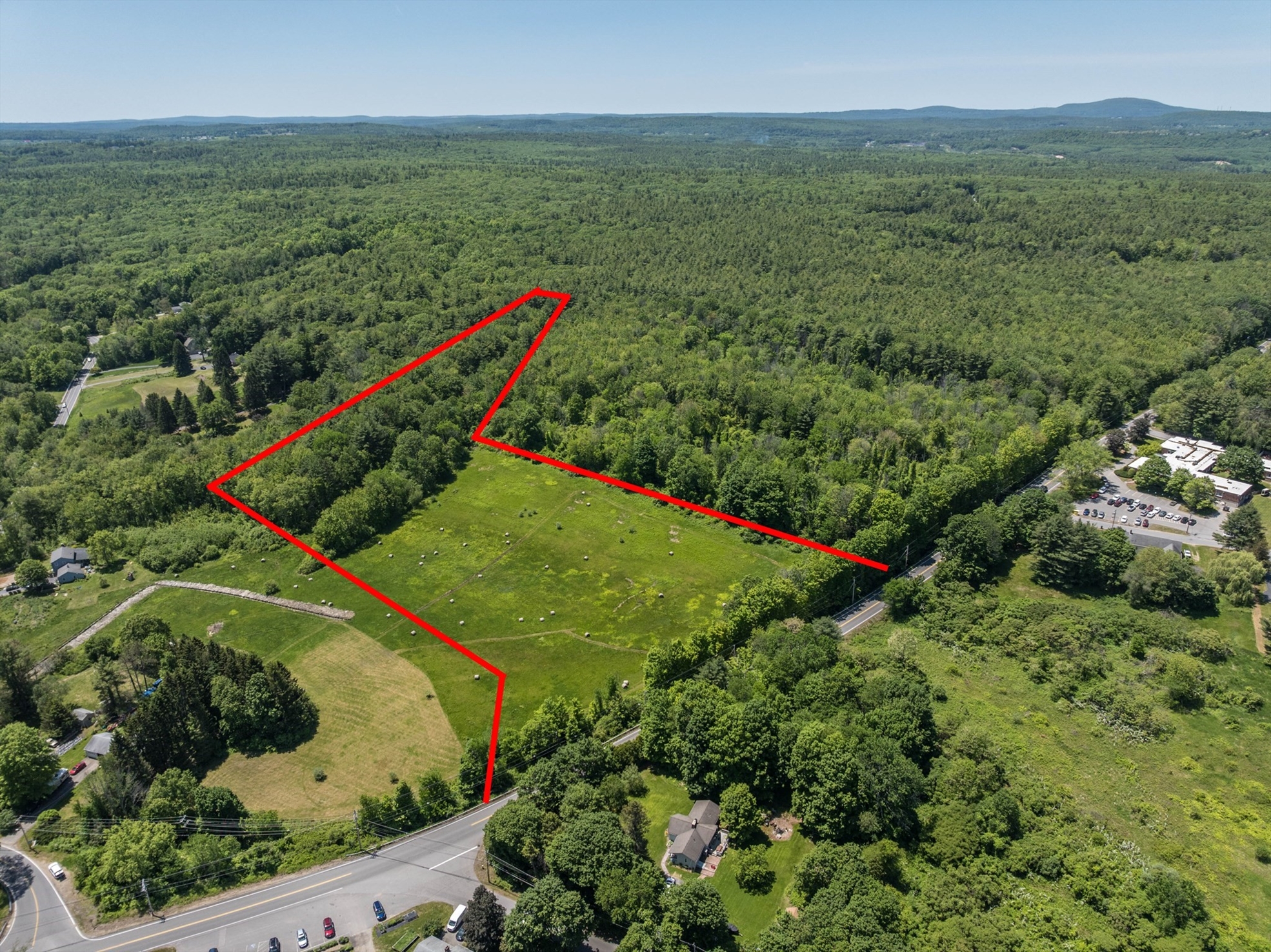 Listings for Stephanie Pandiscio