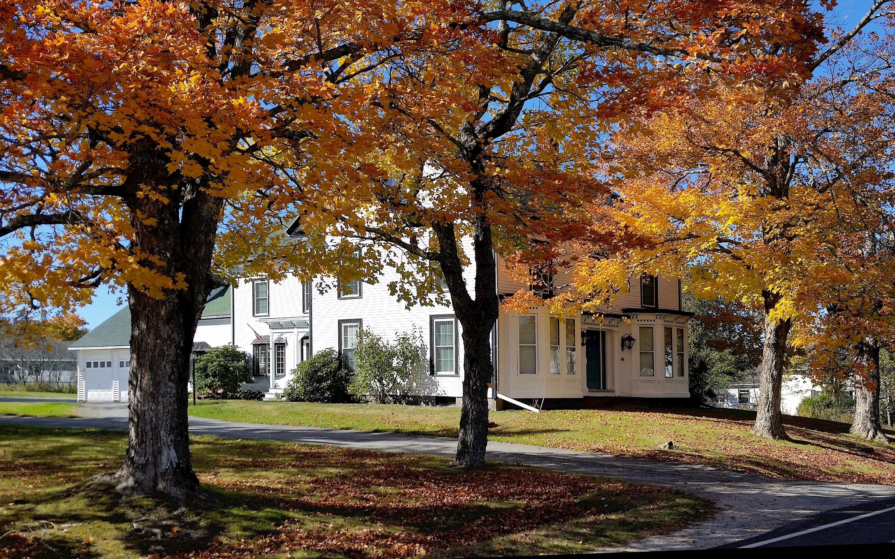 Listings for Karen  Eldridge