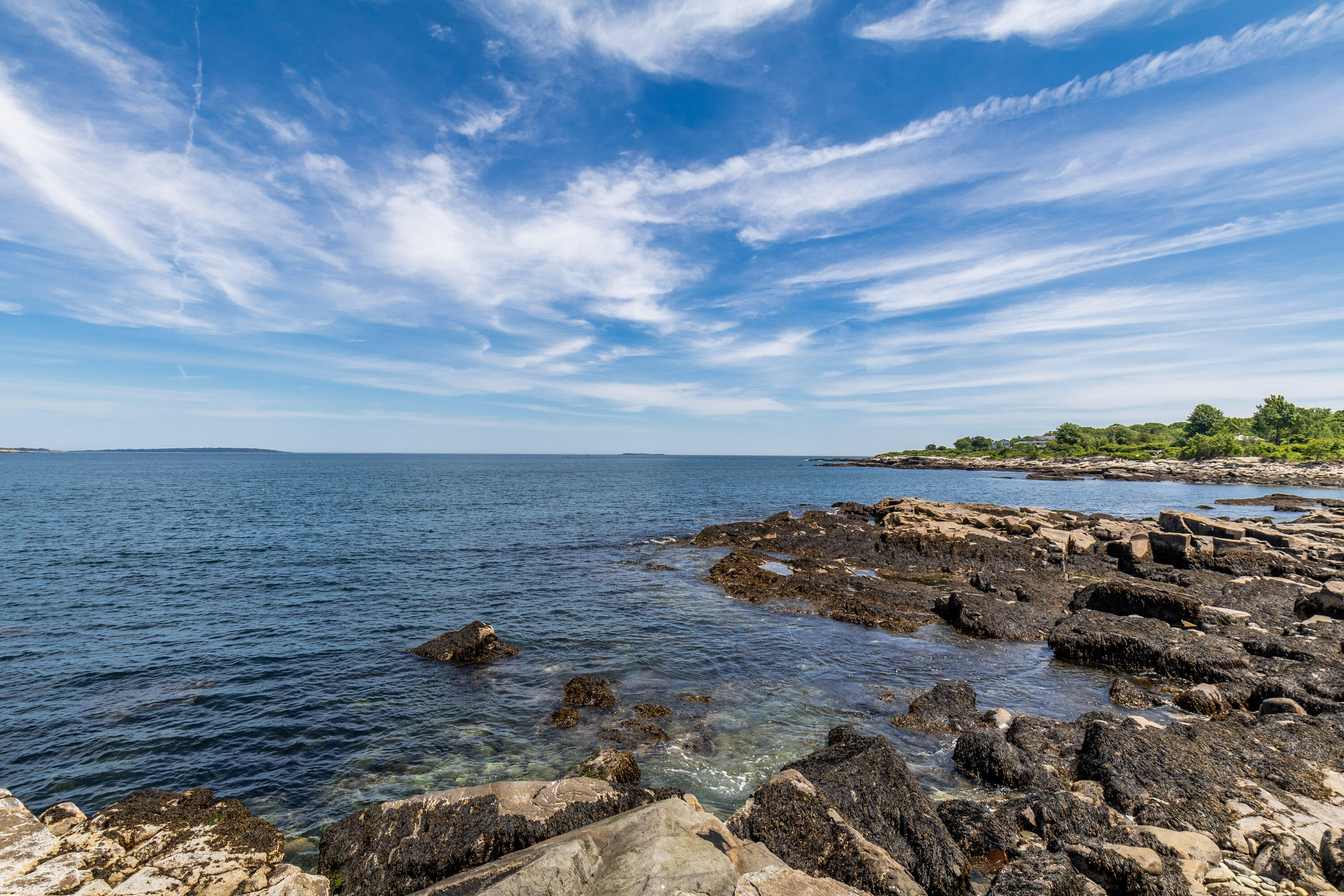 Waterfront Homes