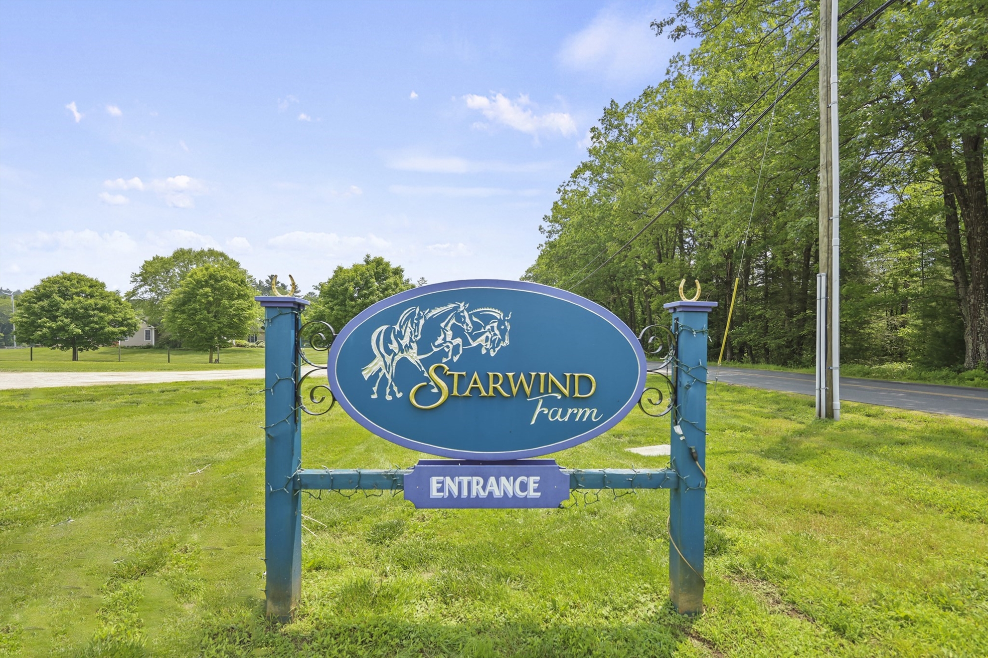 Waterfront Properties