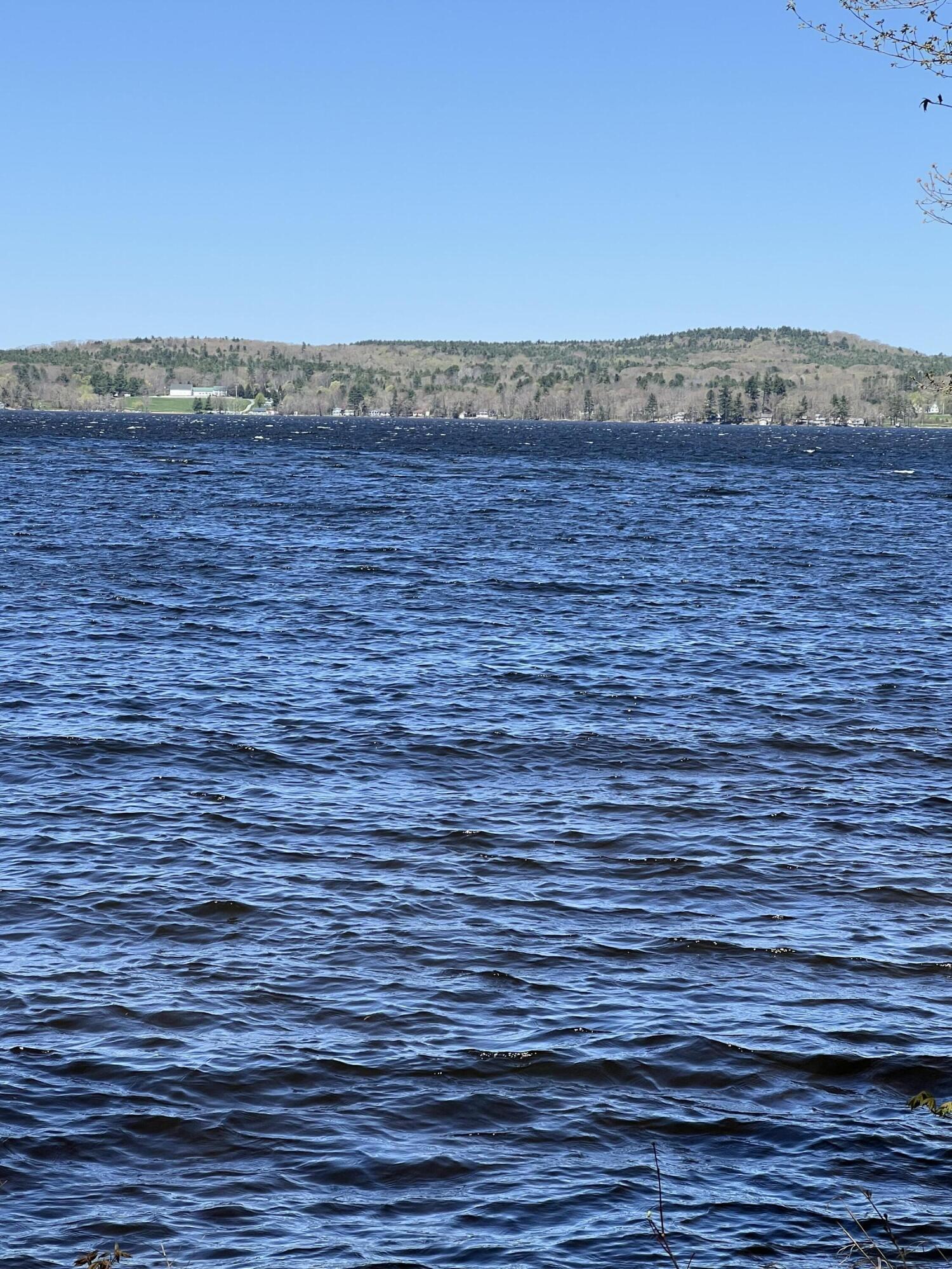 Listings for Luke Delano