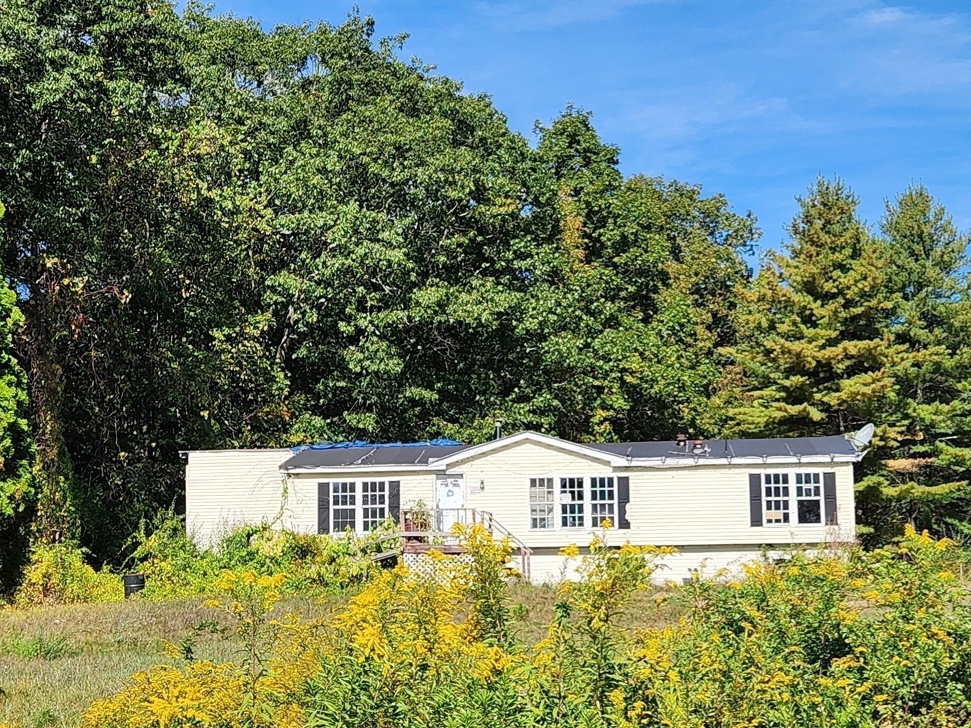 Multi-Family Homes