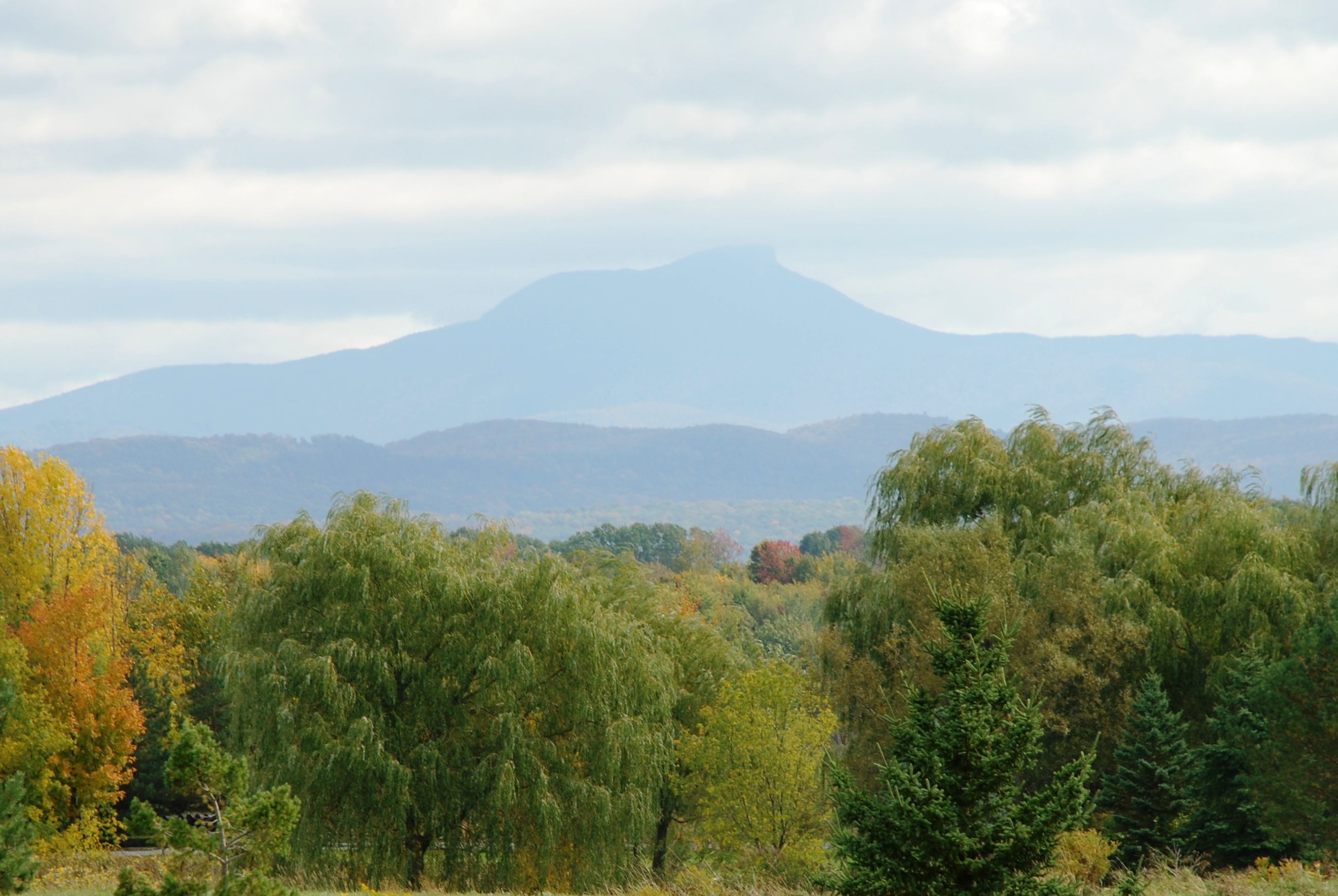 Homes with Camel's Hump Views