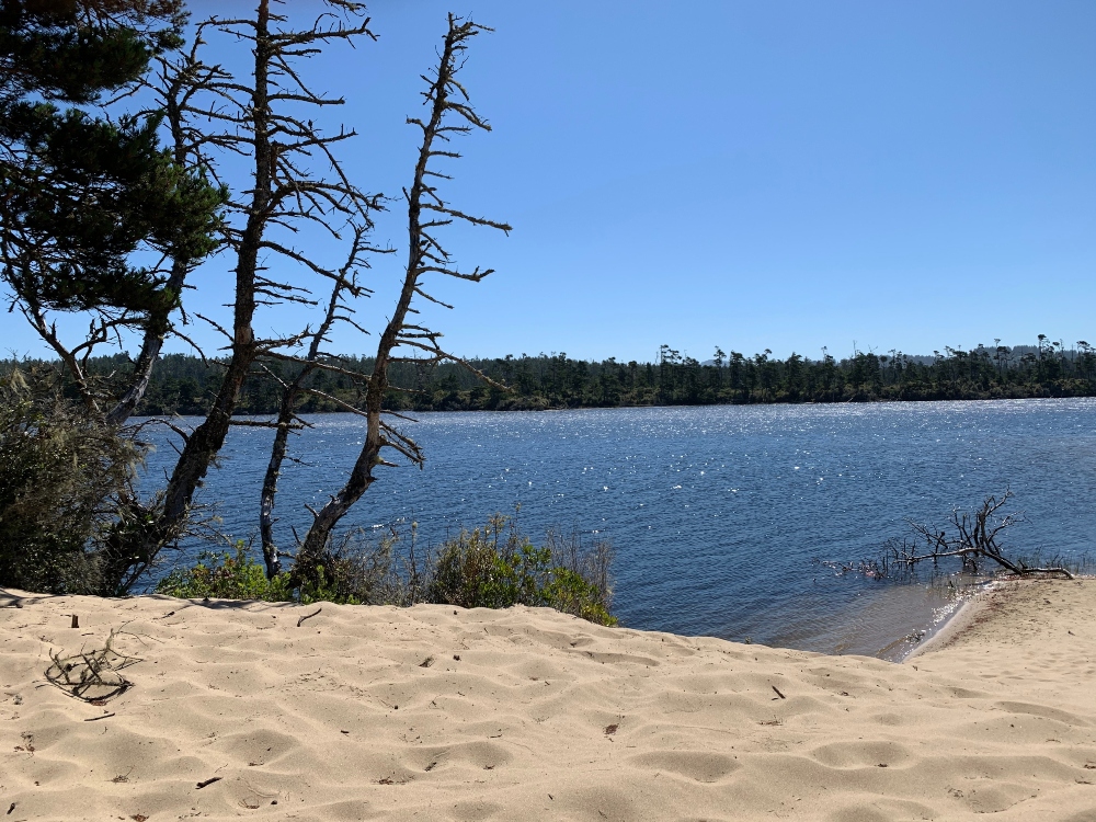 Oceanfront Homes for Sale Winchester Bay OR Coastal Sotheby’s International Realty