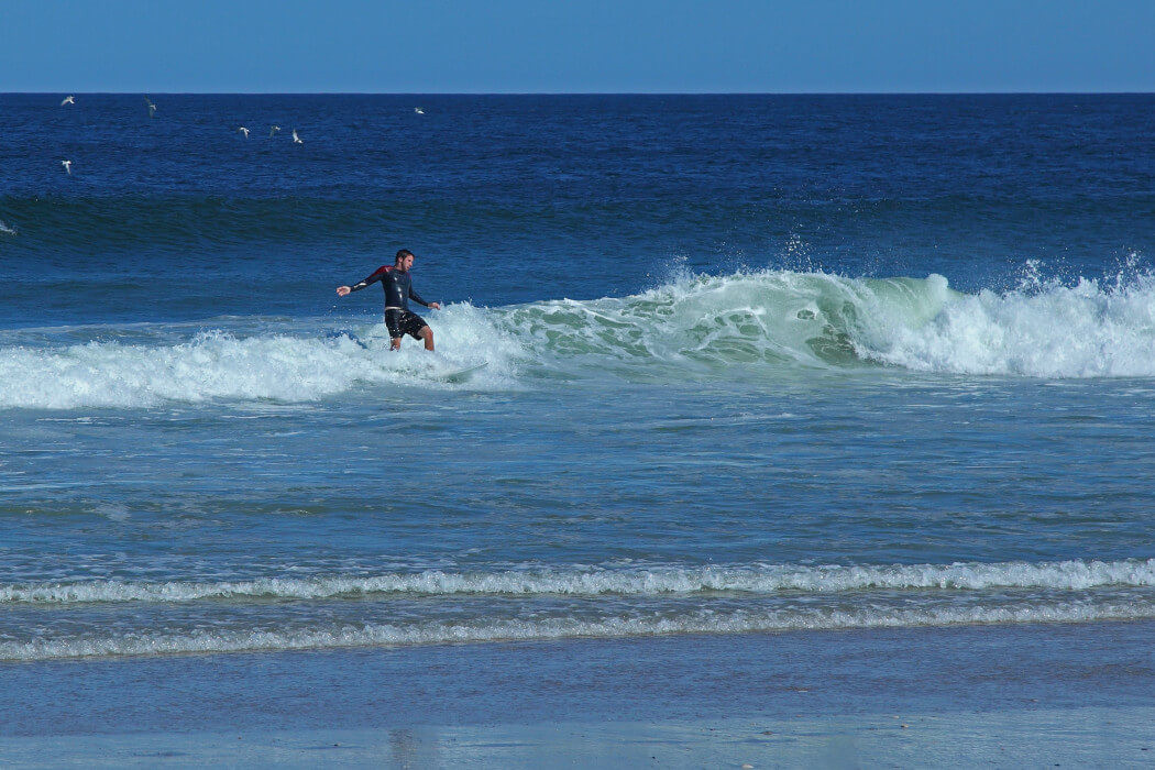 Homes for Sale in Harvey Cedars, NJ Long Beach Island Benée Scola